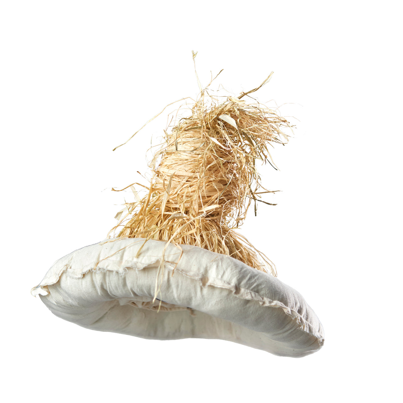 IRÀWỌ̀ Sculpted Raffia Hat